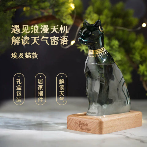 British Museum Anderson cat merchandise weather bottle storm bottle ornament housewarming birthday gift boys